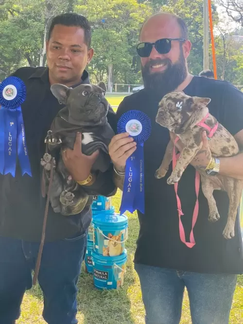 Exposição Minas Bull 2023