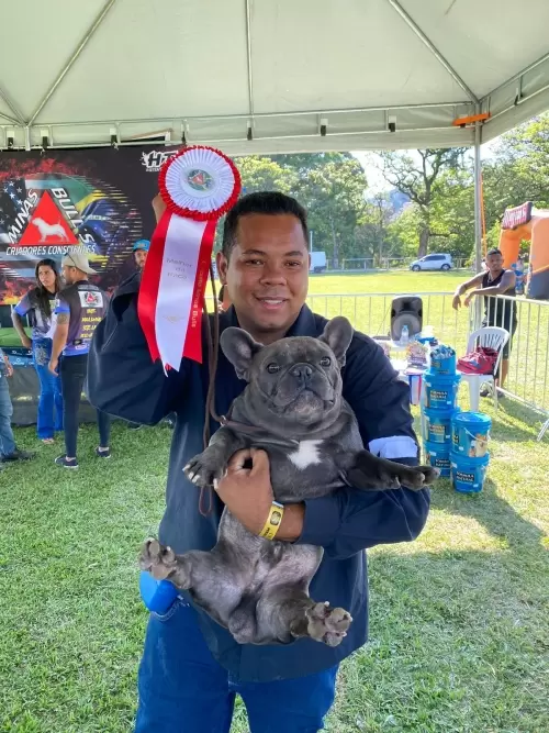 Exposição Minas Bull 2023