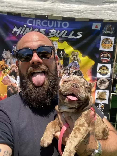 Exposição Minas Bull 2023