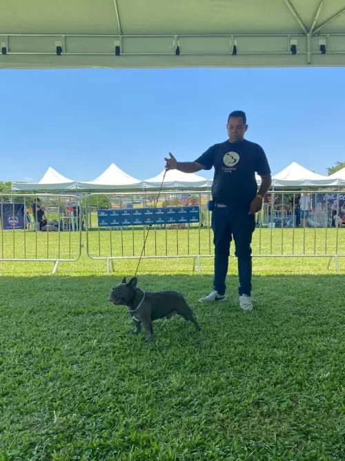 Exposição Minas Bull 2023