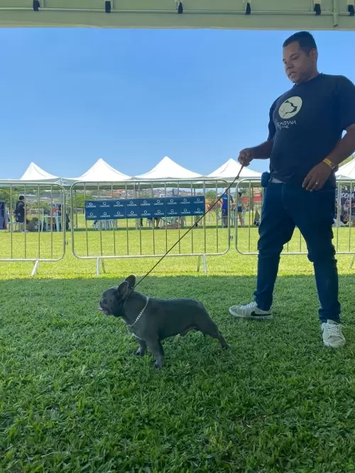 Exposição Minas Bull 2023