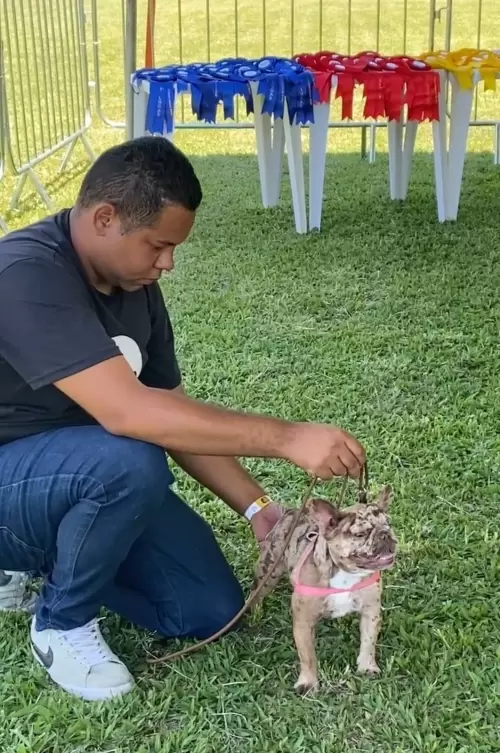 Nutella ganhou 1* lugar  na categoria femea Jovem.